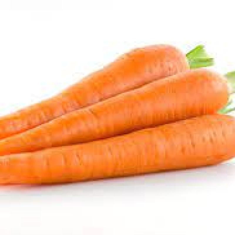 CARROTS