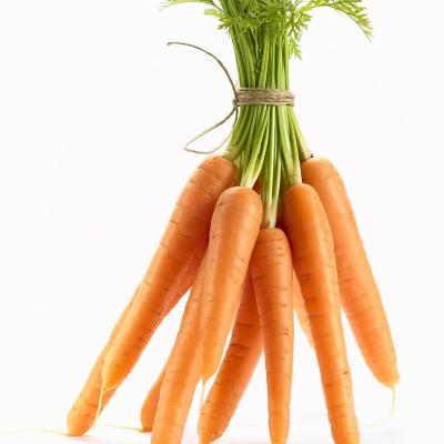 BUNCH OF CARROTS 100G